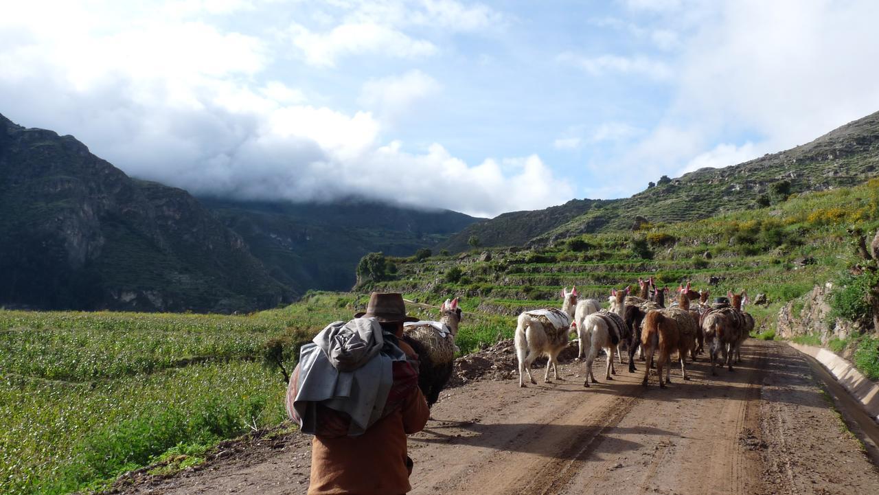 Hotel Misky Punuy - Valle Del Sondondo Andamarca Bagian luar foto